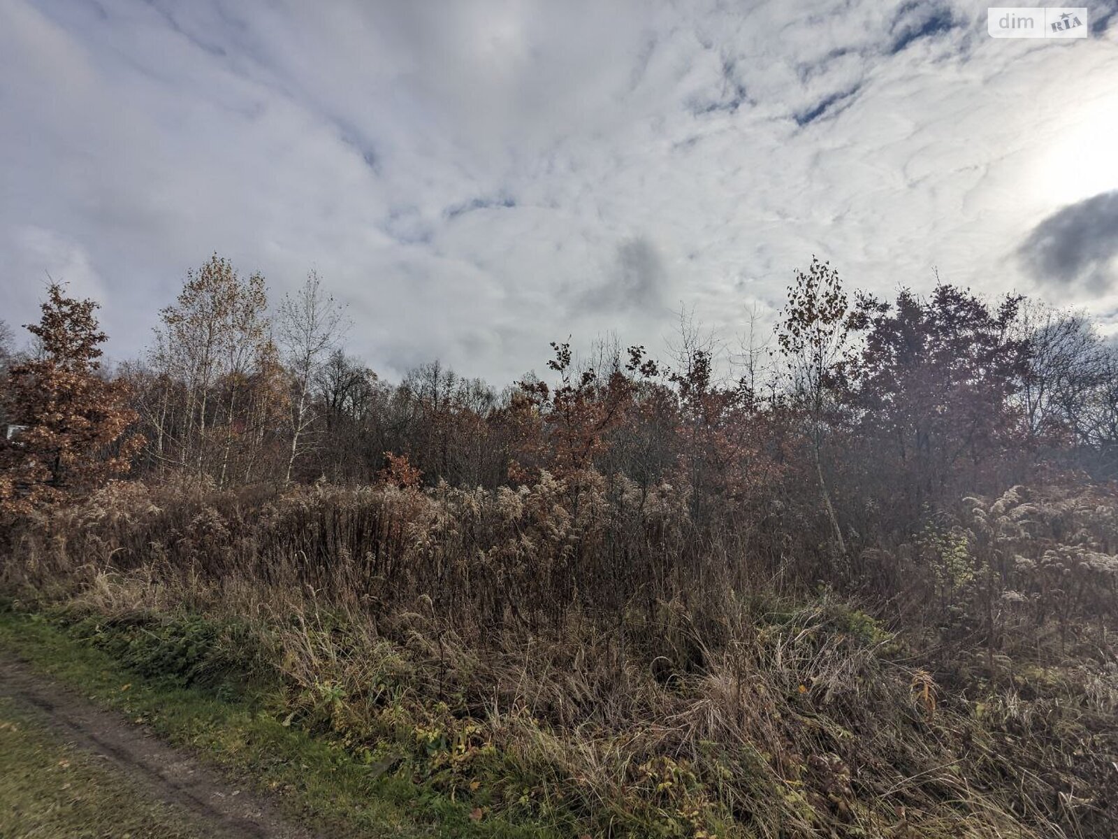 Земельна ділянка сільськогосподарського призначення в Микитинцях, площа 12.6 сотки фото 1 Земельна ділянка сільськогосподарського призначення в Микитинцях, площа 12.6 сотки фото 1