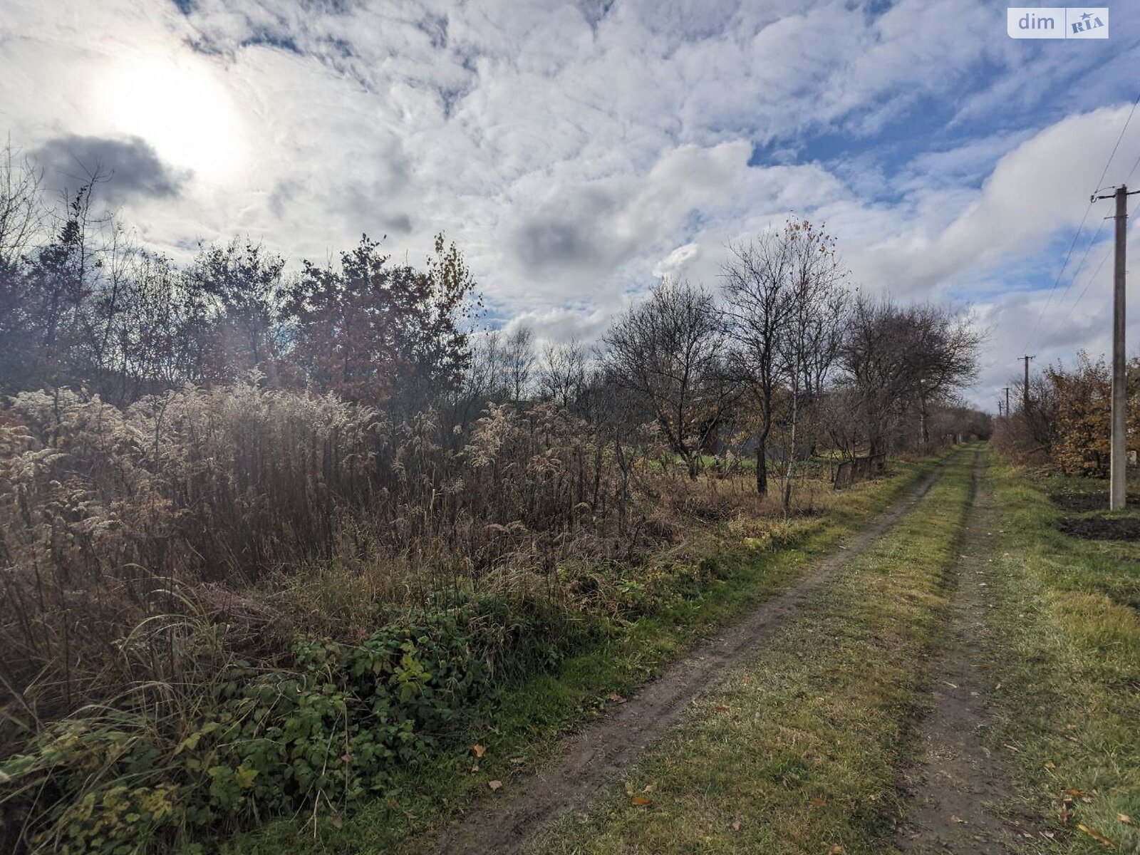 Земельна ділянка сільськогосподарського призначення в Микитинцях, площа 12.6 сотки фото 1 Земельна ділянка сільськогосподарського призначення в Микитинцях, площа 12.6 сотки фото 1