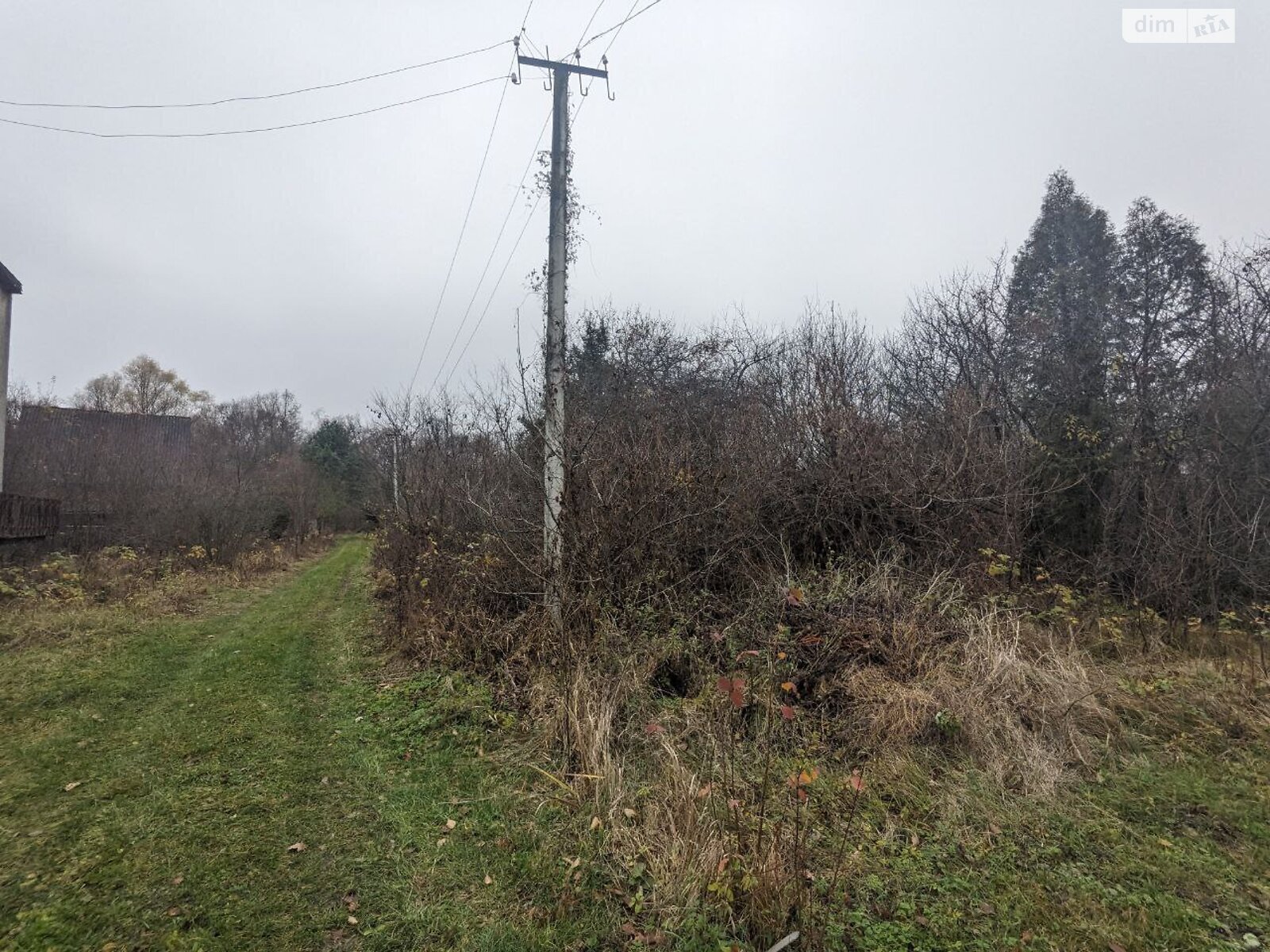 Земельный участок сельскохозяйственного назначения в Никитинцах, площадь 12.04 сотки фото 1