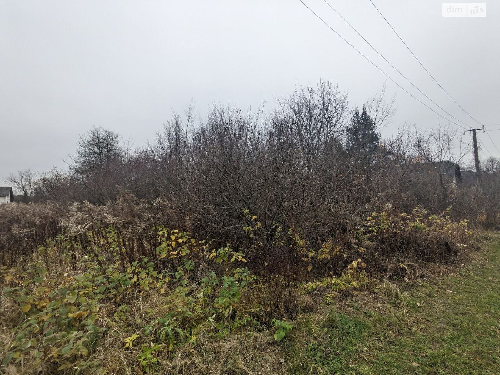 Земельный участок сельскохозяйственного назначения в Никитинцах, площадь 12.04 сотки фото 1