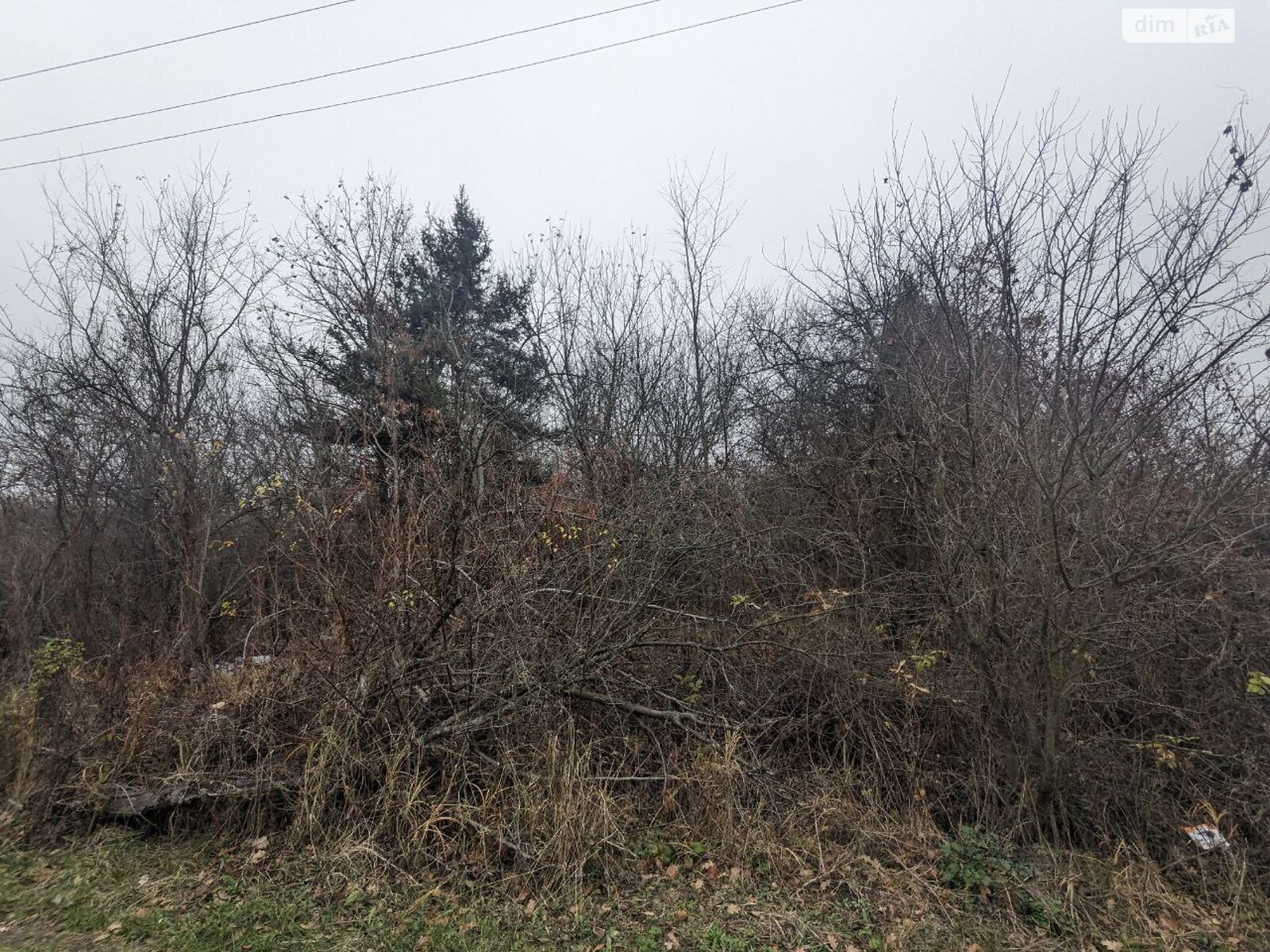 Земельный участок сельскохозяйственного назначения в Никитинцах, площадь 12.04 сотки фото 1