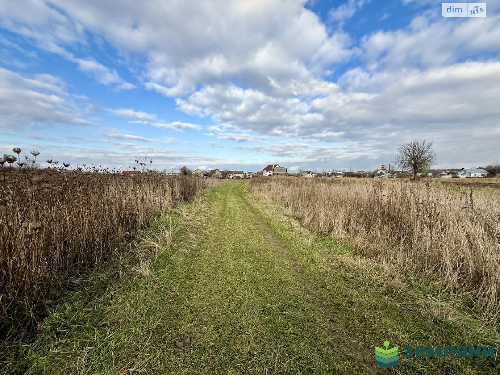 Земельна ділянка сільськогосподарського призначення в Микитинцях, площа 8.19 сотки фото 1