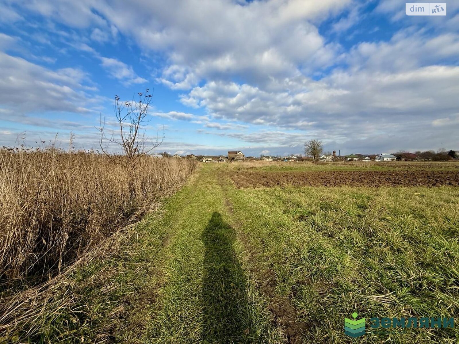 Земельна ділянка сільськогосподарського призначення в Микитинцях, площа 8.19 сотки фото 1