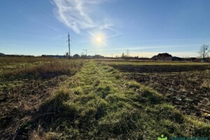 Земельный участок сельскохозяйственного назначения в Никитинцах, площадь 12.9 сотки фото 2