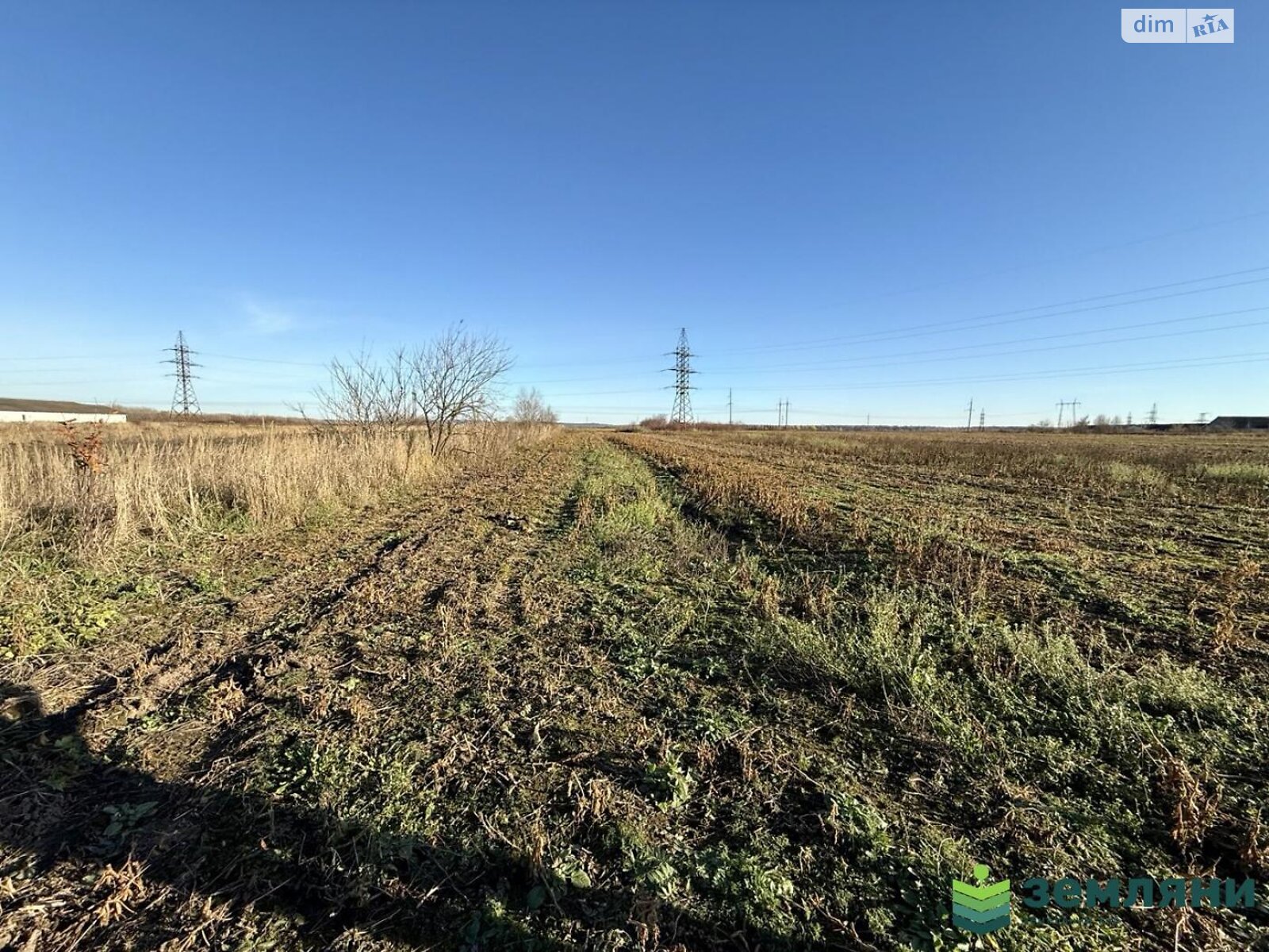 Земельный участок сельскохозяйственного назначения в Никитинцах, площадь 12.9 сотки фото 1