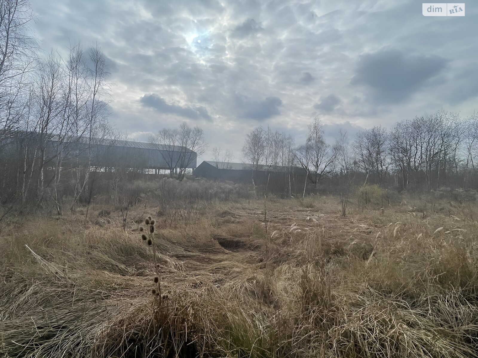 Земельна ділянка сільськогосподарського призначення в Микитинцях, площа 6.8 сотки фото 1 Земельна ділянка сільськогосподарського призначення в Микитинцях, площа 6.8 сотки фото 1