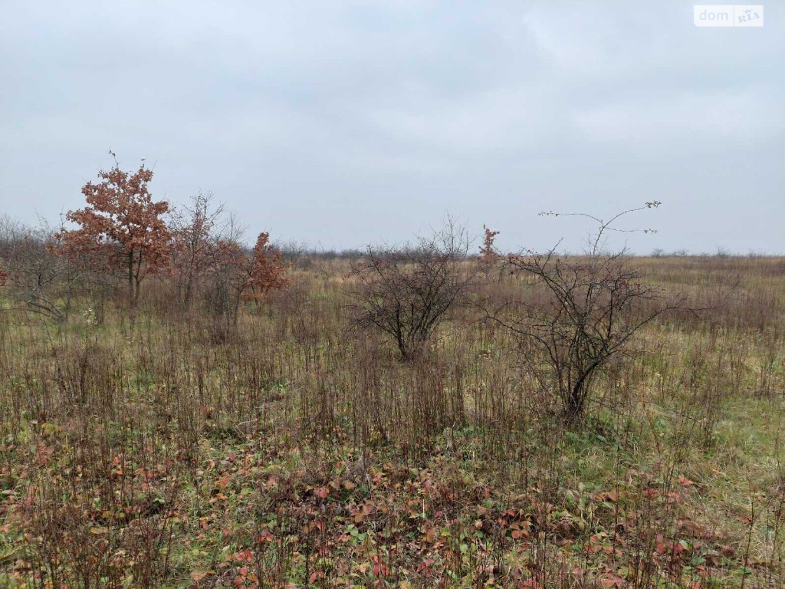 Земельна ділянка сільськогосподарського призначення в Дроговижі, площа 195 соток фото 1