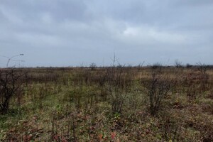 Земельный участок сельскохозяйственного назначения в Дроговиже, площадь 195 соток фото 2