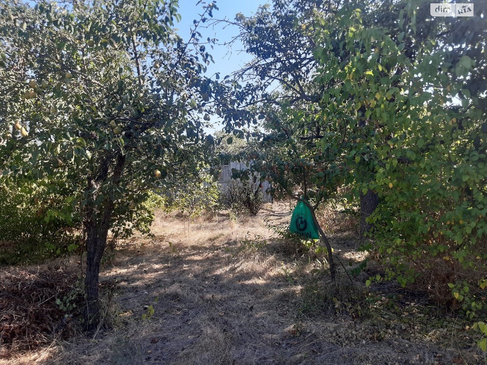 Земля сільськогосподарського призначення в Миколаєві, район Ракетне Урочище, площа 6 соток фото 1