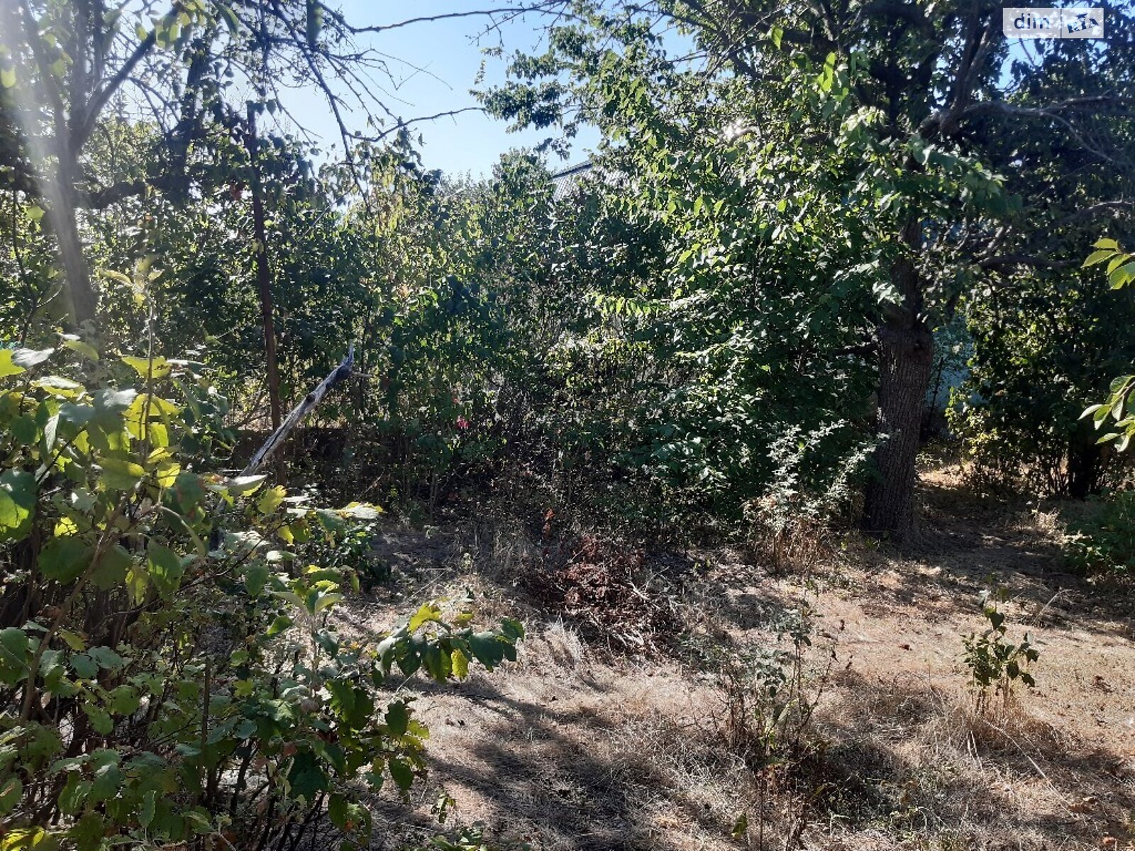 Земля сільськогосподарського призначення в Миколаєві, район Ракетне Урочище, площа 6 соток фото 1