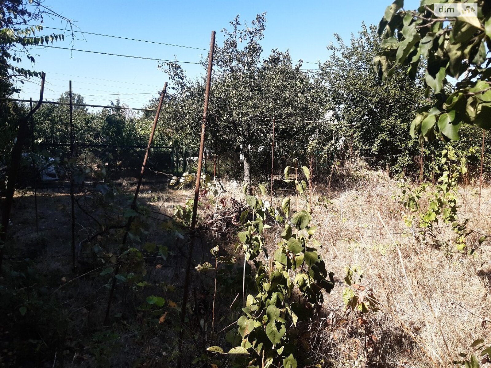 Земля сільськогосподарського призначення в Миколаєві, район Ракетне Урочище, площа 6 соток фото 1