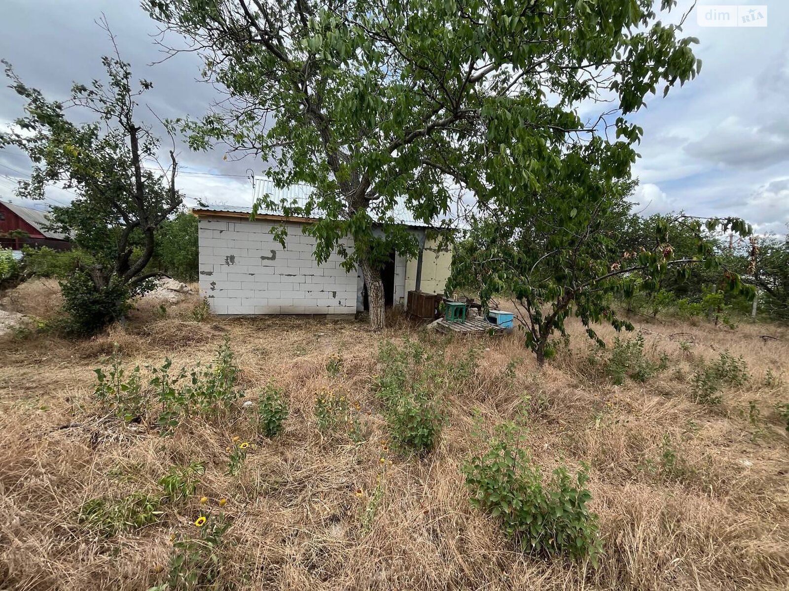 Земля сельскохозяйственного назначения в Николаеве, район Ракетное Урочище, площадь 5.53 сотки фото 1