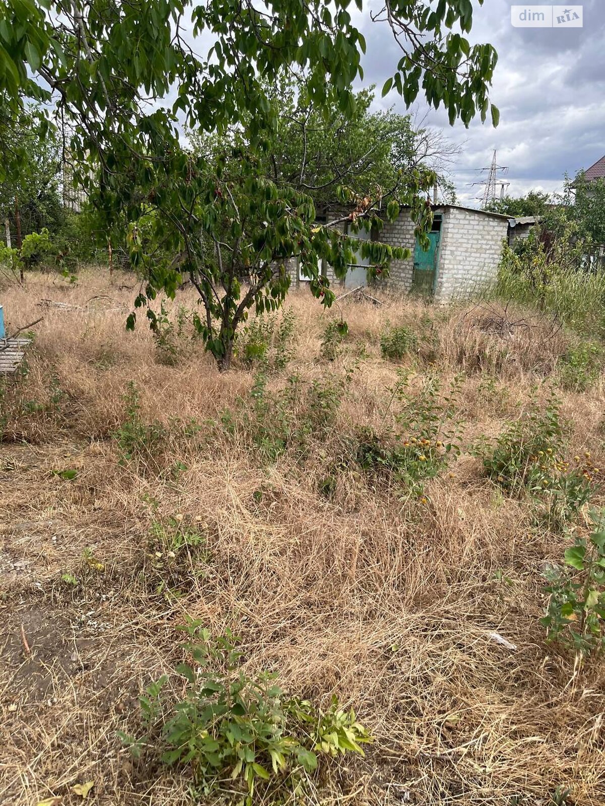 Земля сельскохозяйственного назначения в Николаеве, район Ракетное Урочище, площадь 5.53 сотки фото 1