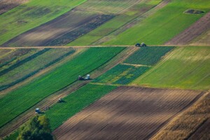 Земля сельскохозяйственного назначения в Николаеве, район Витовский, площадь 1.52 Га фото 2