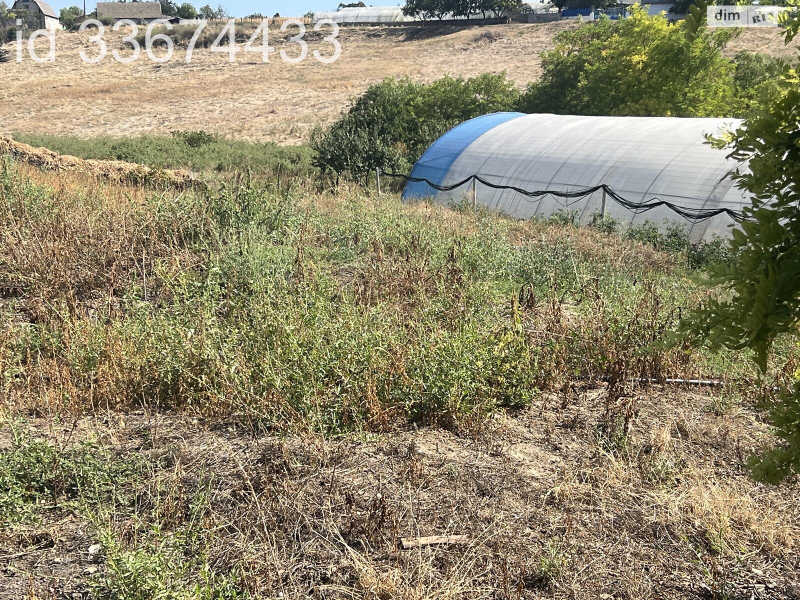 Земельна ділянка сільськогосподарського призначення в Калаглії, площа 10.88 сотки фото 1