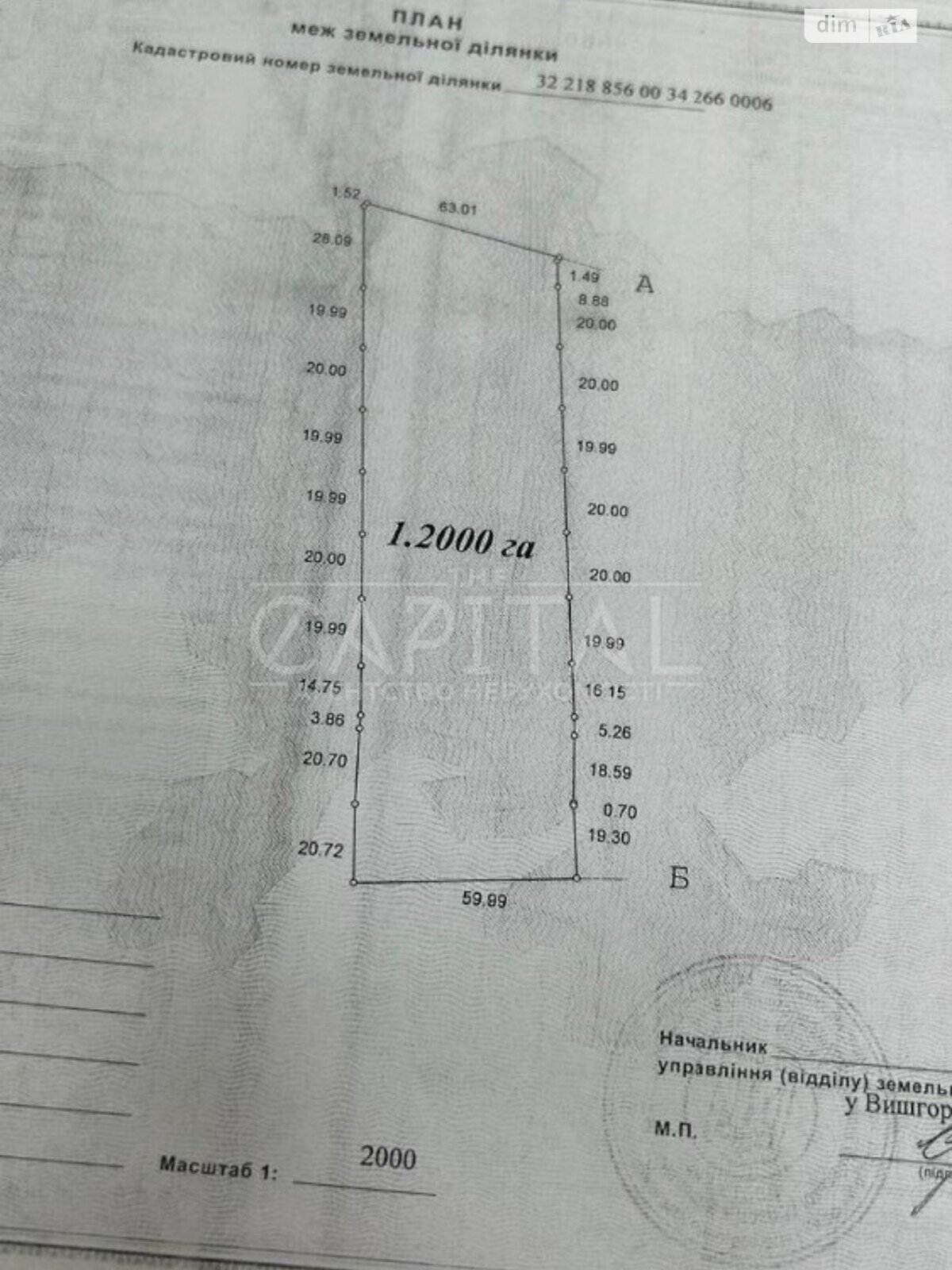 Земельна ділянка сільськогосподарського призначення в Нижній Дубечні, площа 323 сотки фото 1