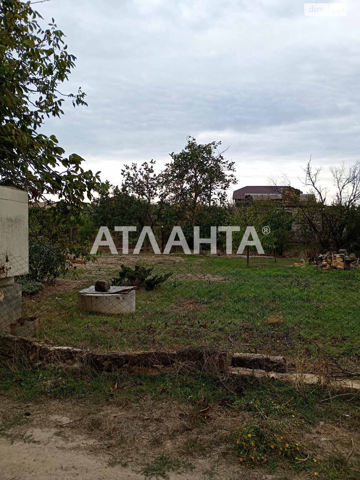 Земельна ділянка сільськогосподарського призначення в Новій Дофінівці, площа 12 соток фото 1