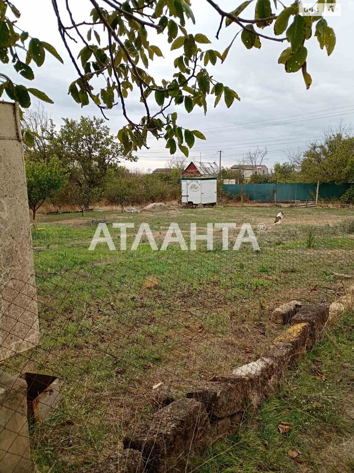 Земельна ділянка сільськогосподарського призначення в Новій Дофінівці, площа 12 соток фото 1