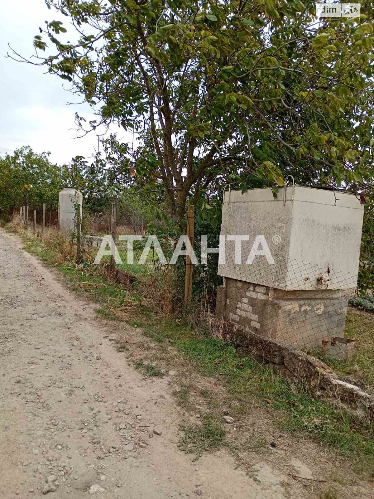 Земельна ділянка сільськогосподарського призначення в Новій Дофінівці, площа 12 соток фото 1