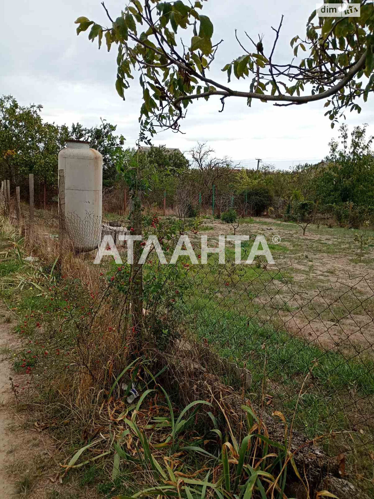 Земельна ділянка сільськогосподарського призначення в Новій Дофінівці, площа 12 соток фото 1