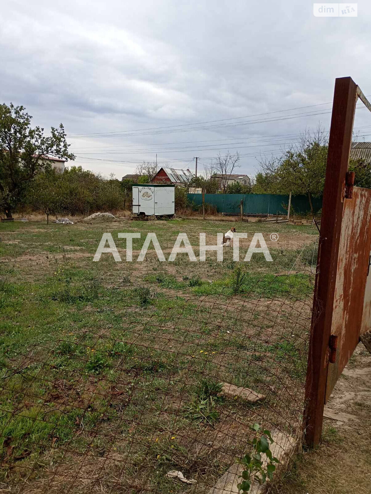 Земельна ділянка сільськогосподарського призначення в Новій Дофінівці, площа 12 соток фото 1