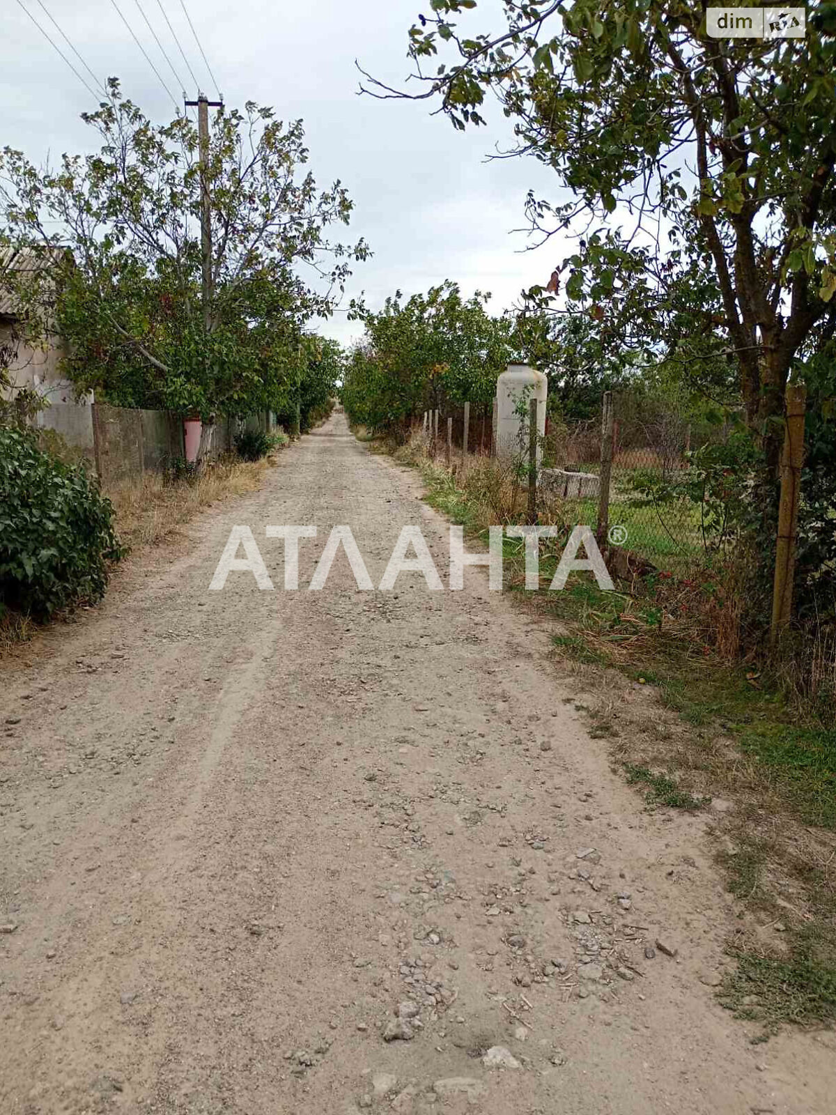 Земельна ділянка сільськогосподарського призначення в Новій Дофінівці, площа 12 соток фото 1