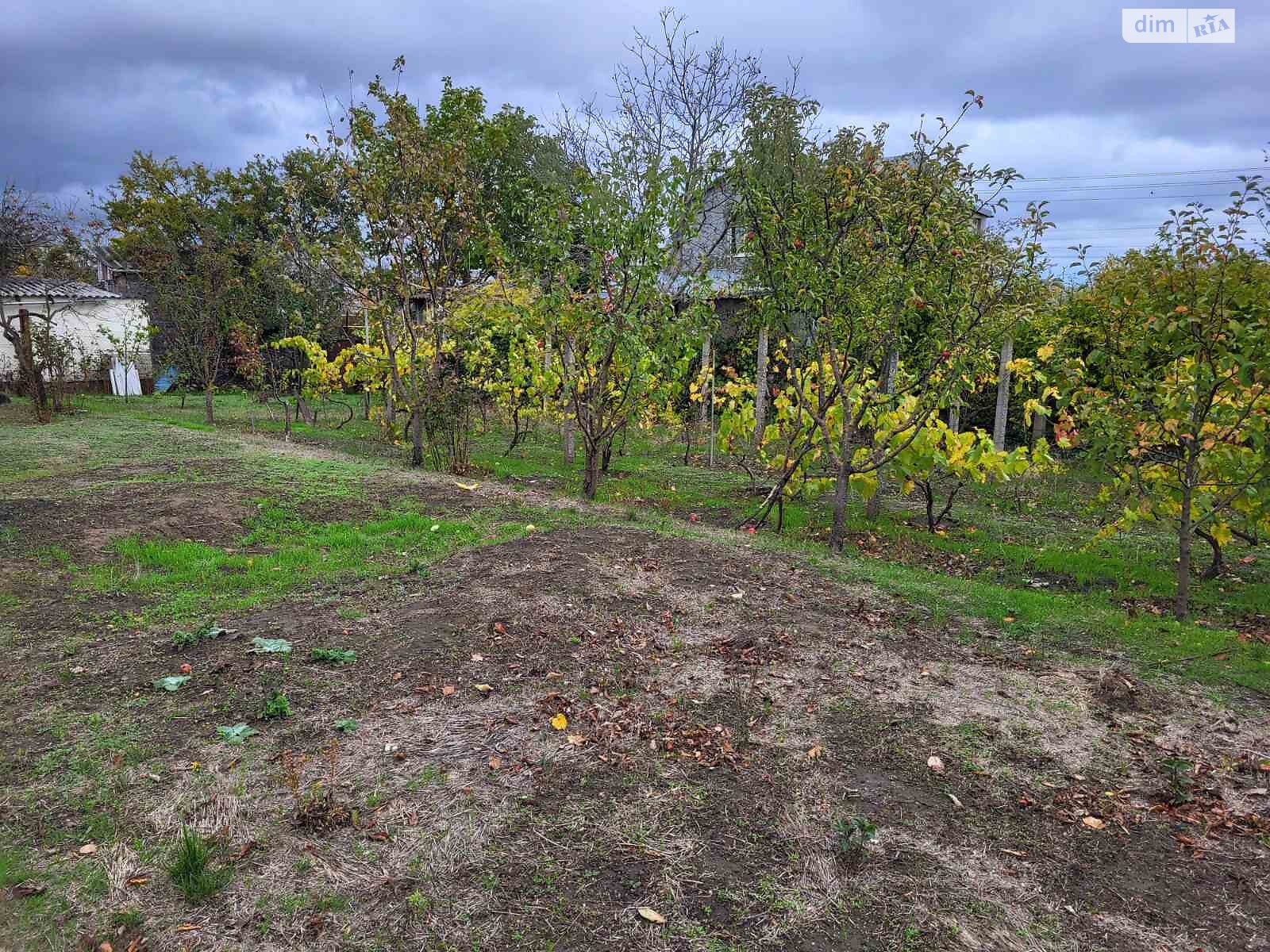 Земельна ділянка сільськогосподарського призначення в Новій Долині, площа 6.04 сотки фото 1
