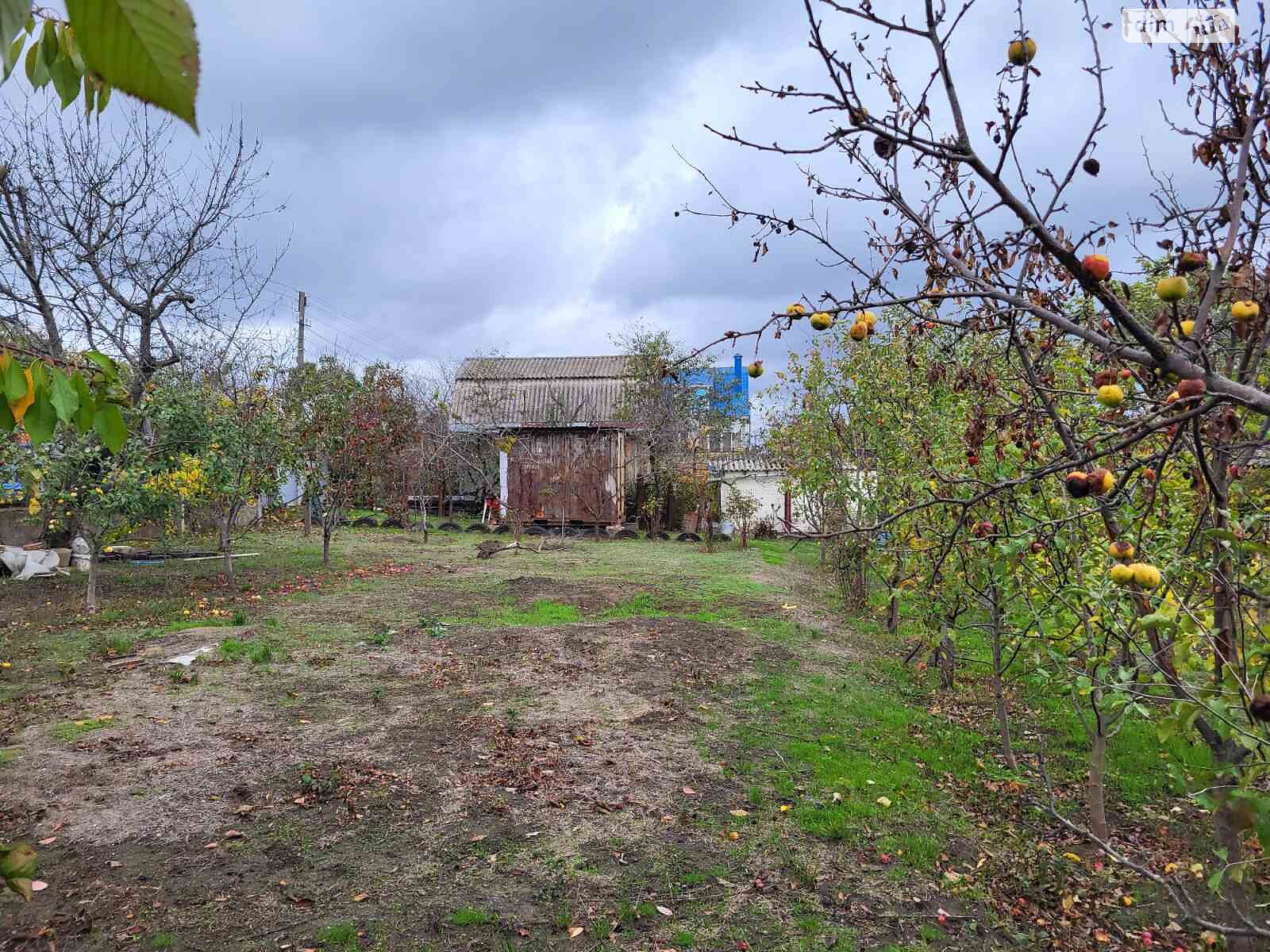 Земельна ділянка сільськогосподарського призначення в Новій Долині, площа 6.04 сотки фото 1