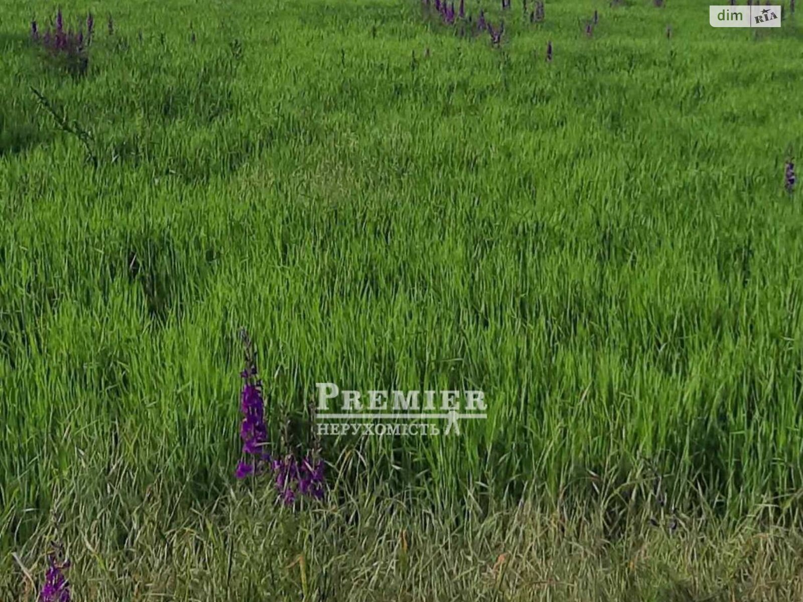 Земельный участок сельскохозяйственного назначения в Новой Долине, площадь 6.02 сотки фото 1 Земельный участок сельскохозяйственного назначения в Новой Долине, площадь 6.02 сотки фото 1