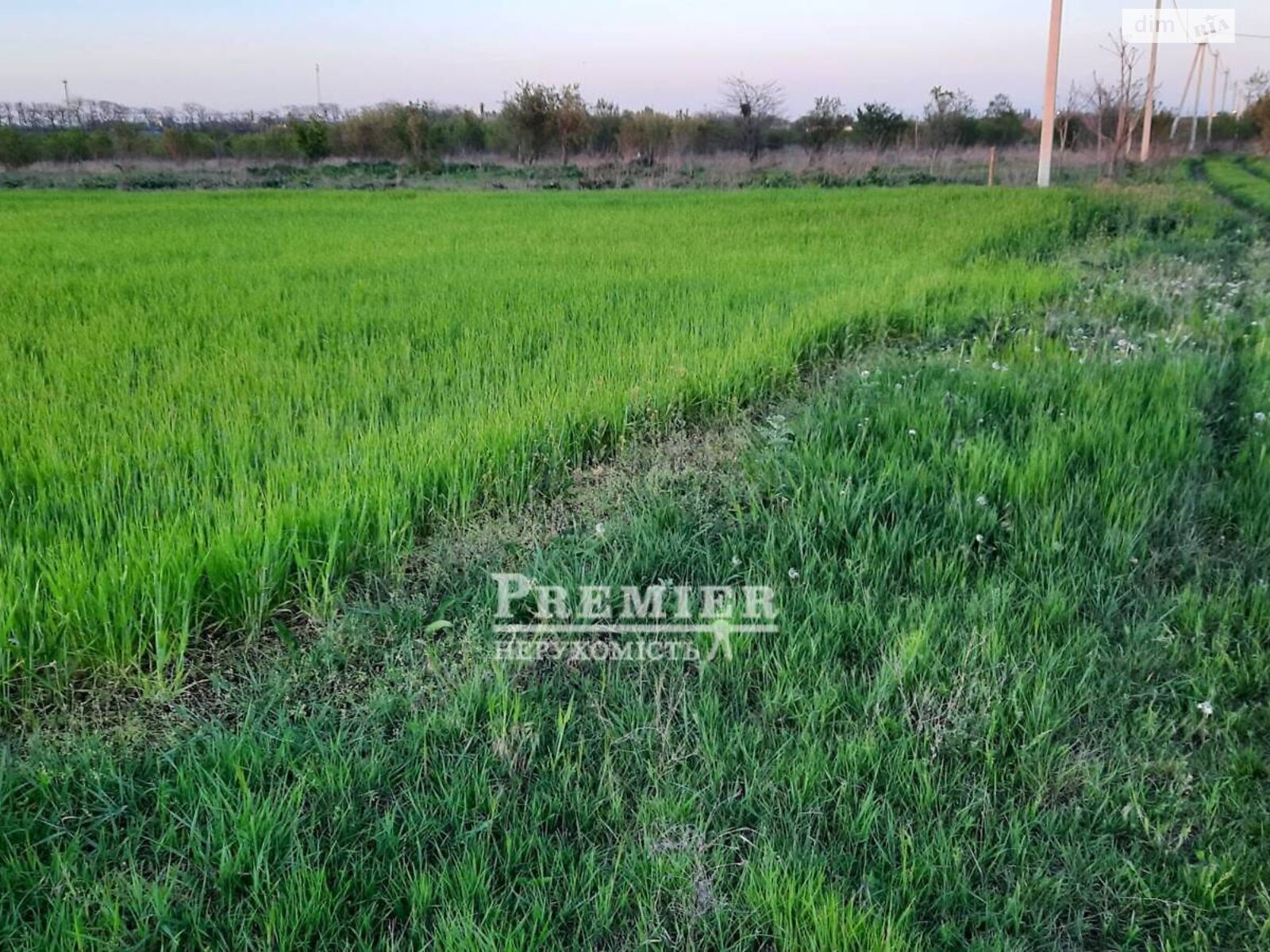 Земельный участок сельскохозяйственного назначения в Новой Долине, площадь 6.02 сотки фото 1 Земельный участок сельскохозяйственного назначения в Новой Долине, площадь 6.02 сотки фото 1