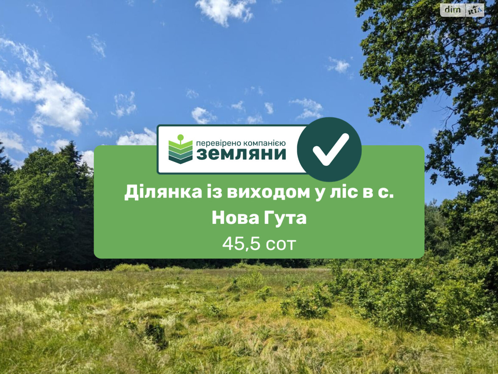 Земельна ділянка сільськогосподарського призначення в Новій Гуті, площа 45.79 сотки фото 1 Земельна ділянка сільськогосподарського призначення в Новій Гуті, площа 45.79 сотки фото 1