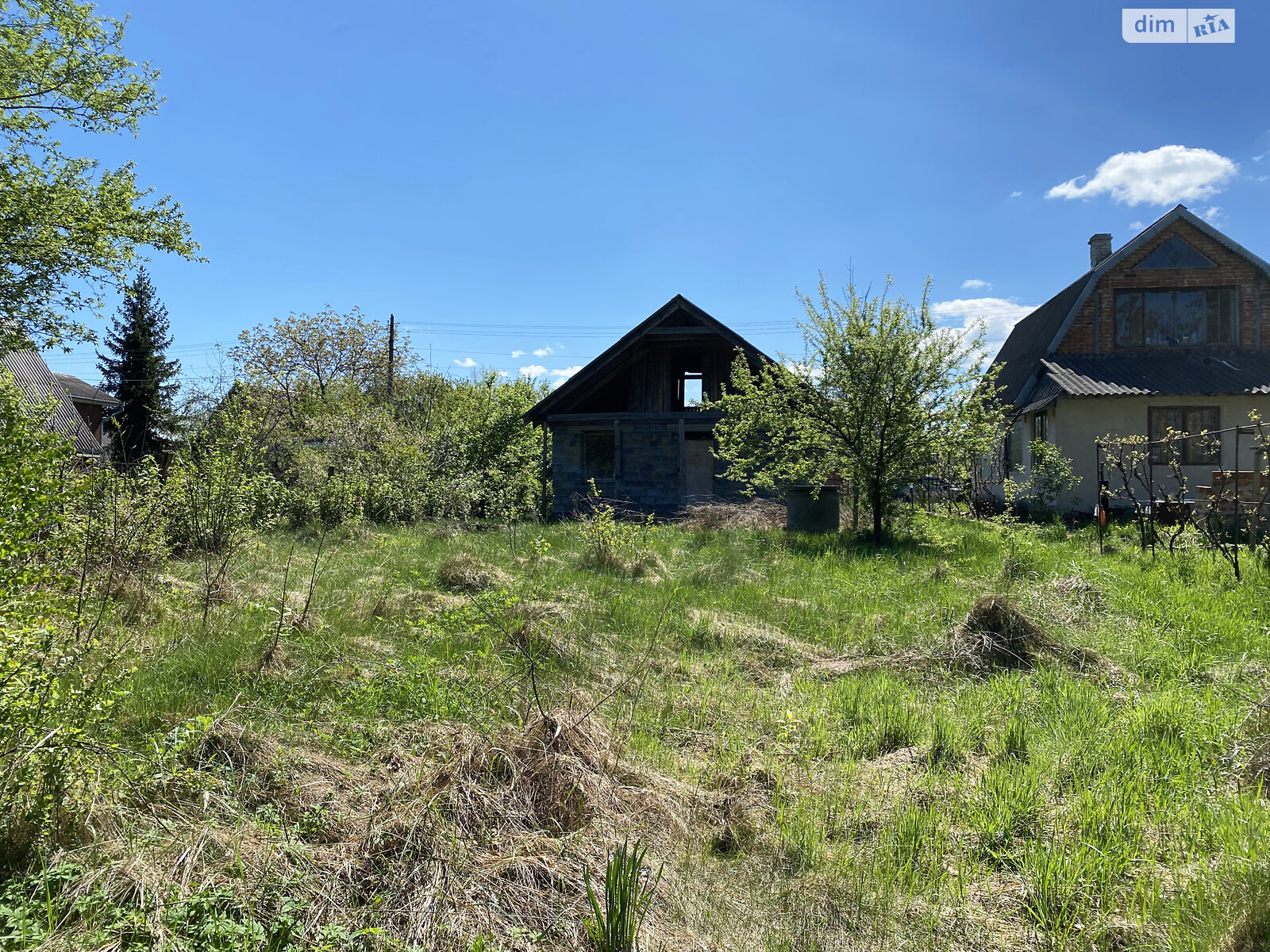 Земельна ділянка сільськогосподарського призначення в Новій Липівці, площа 5.76 сотки фото 1