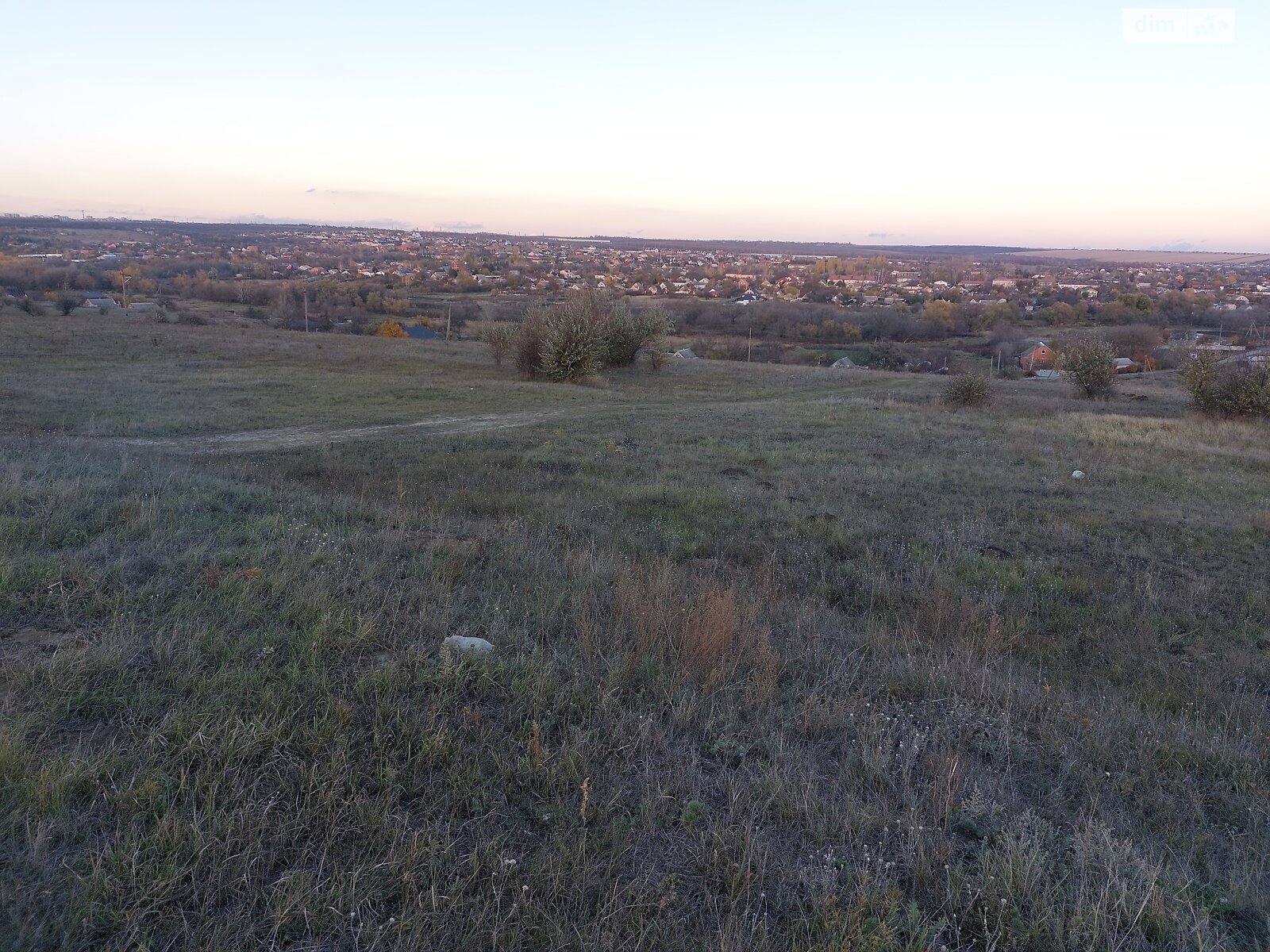 Земельный участок сельскохозяйственного назначения в Новоалександровке, площадь 2 Га фото 1 Земельный участок сельскохозяйственного назначения в Новоалександровке, площадь 2 Га фото 1
