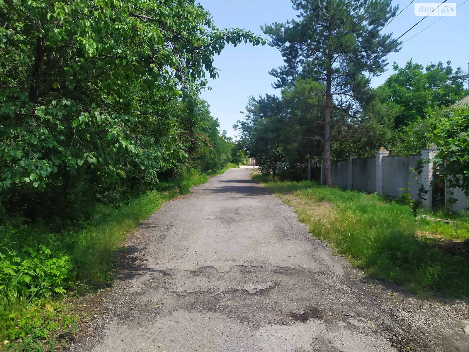 Земельна ділянка сільськогосподарського призначення в Новоолександрівці, площа 5 соток фото 1