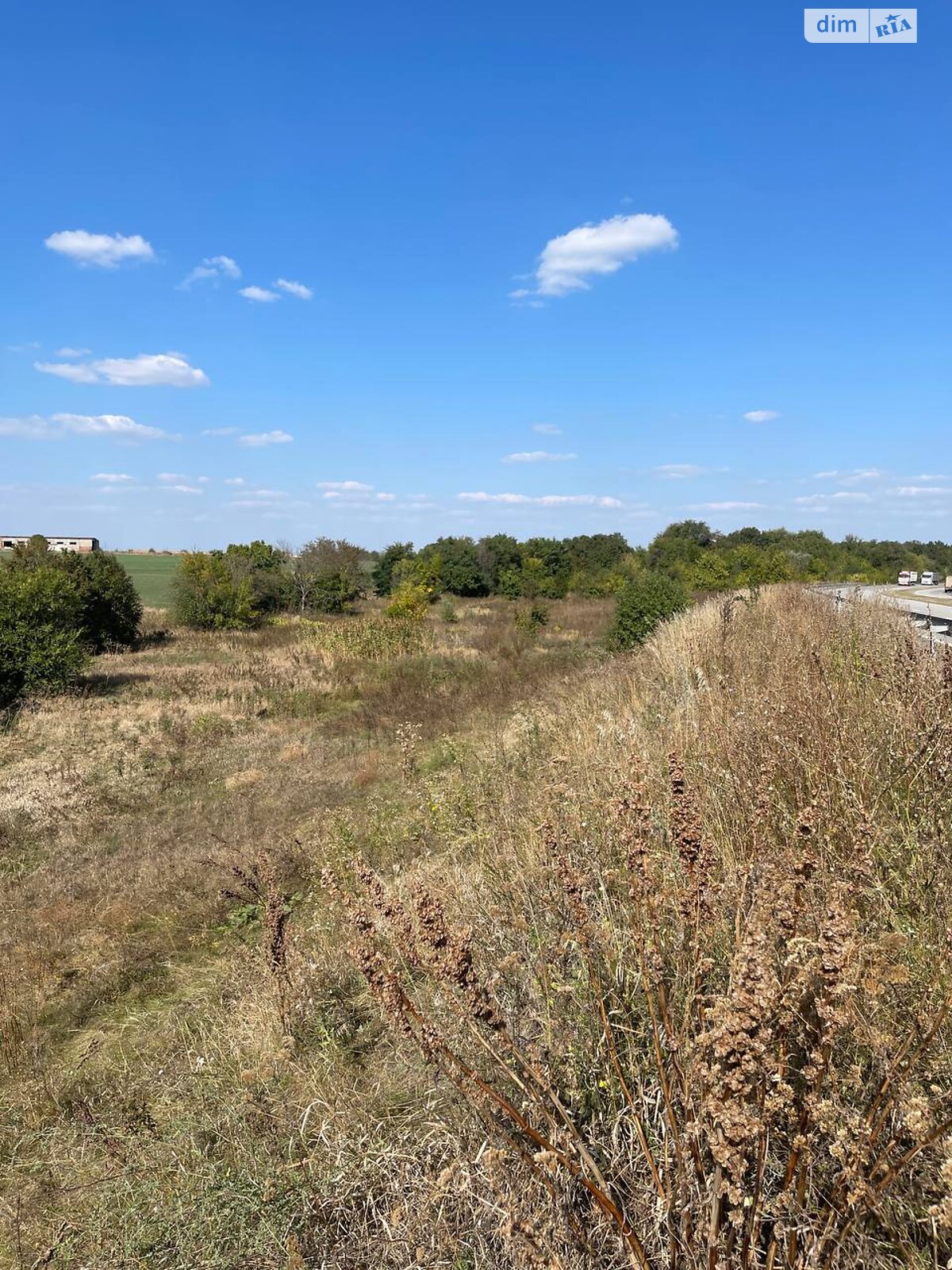 Земельна ділянка сільськогосподарського призначення в Новоолександрівці, площа 120 соток фото 1