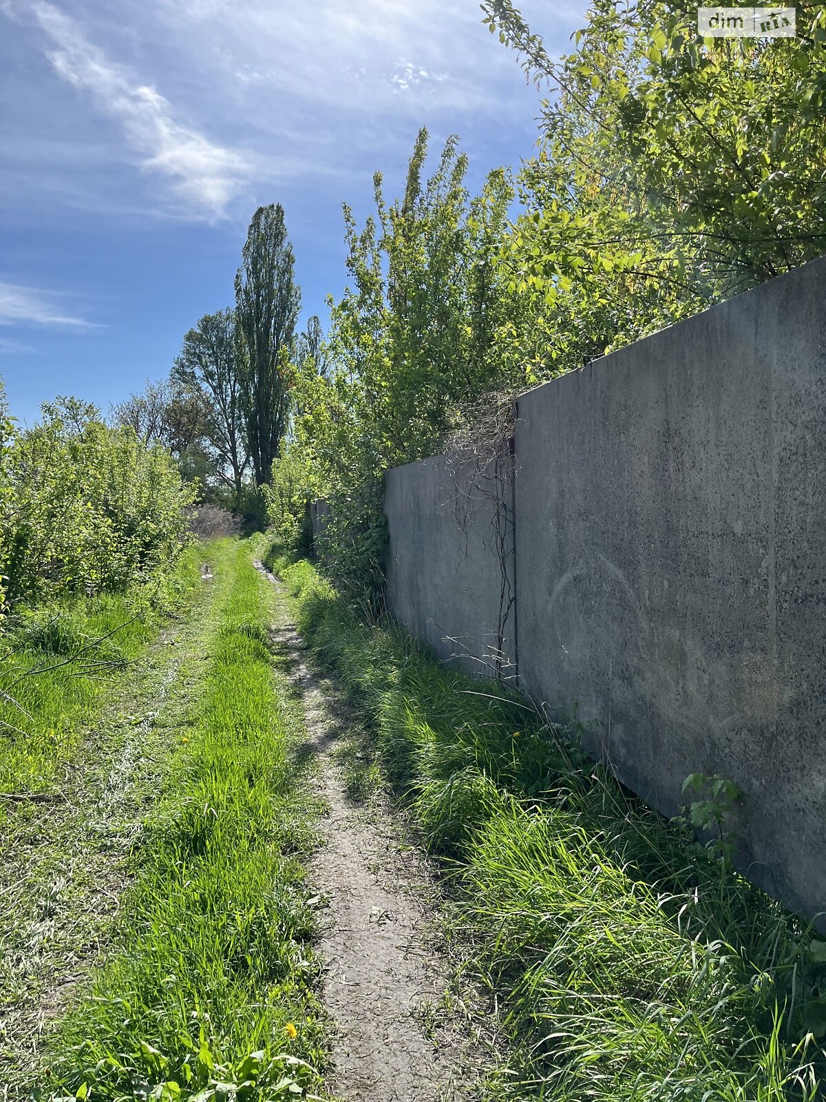 Земельна ділянка сільськогосподарського призначення в Новоолександрівці, площа 50 соток фото 1 Земельна ділянка сільськогосподарського призначення в Новоолександрівці, площа 50 соток фото 1