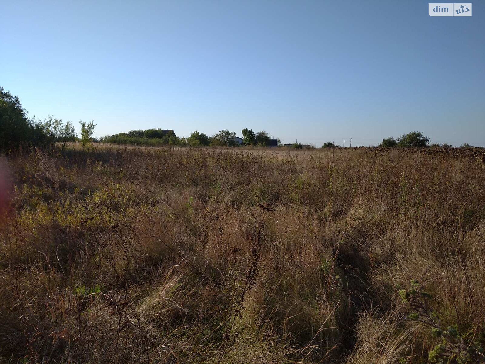 Земельный участок сельскохозяйственного назначения в Новогниде, площадь 25 соток фото 1