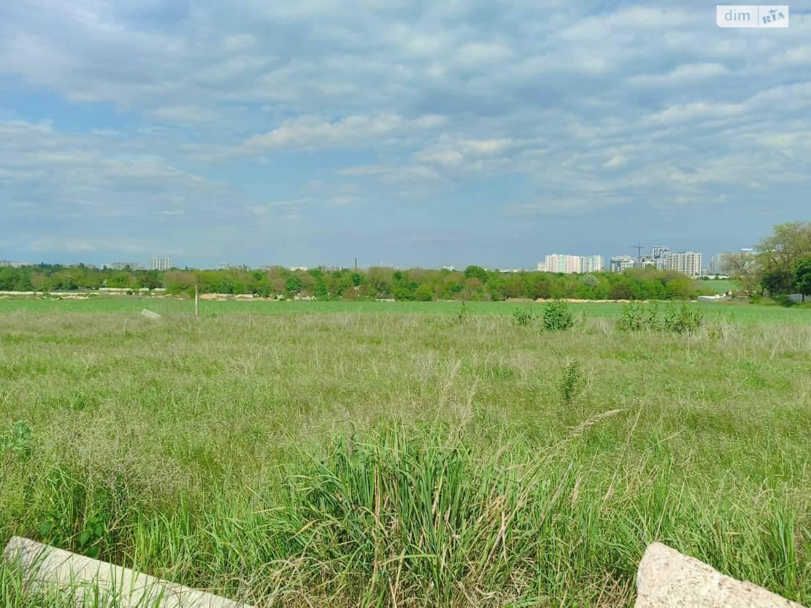 Земельна ділянка сільськогосподарського призначення в Новокубанці, площа 100 соток фото 1 Земельна ділянка сільськогосподарського призначення в Новокубанці, площа 100 соток фото 1