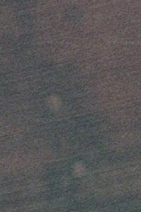 Земельна ділянка сільськогосподарського призначення в Новомиколаївці, площа 4.1154 Га фото 1 Земельна ділянка сільськогосподарського призначення в Новомиколаївці, площа 4.1154 Га фото 1