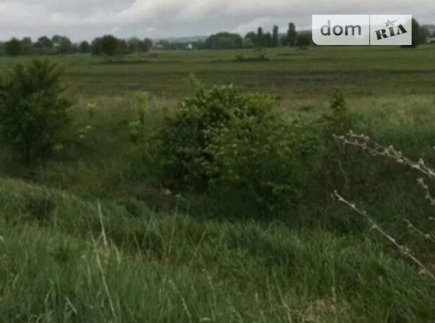 Земля сельскохозяйственного назначения в селе Бояны, площадь 22 сотки фото 1 Земля сельскохозяйственного назначения в селе Бояны, площадь 22 сотки фото 1