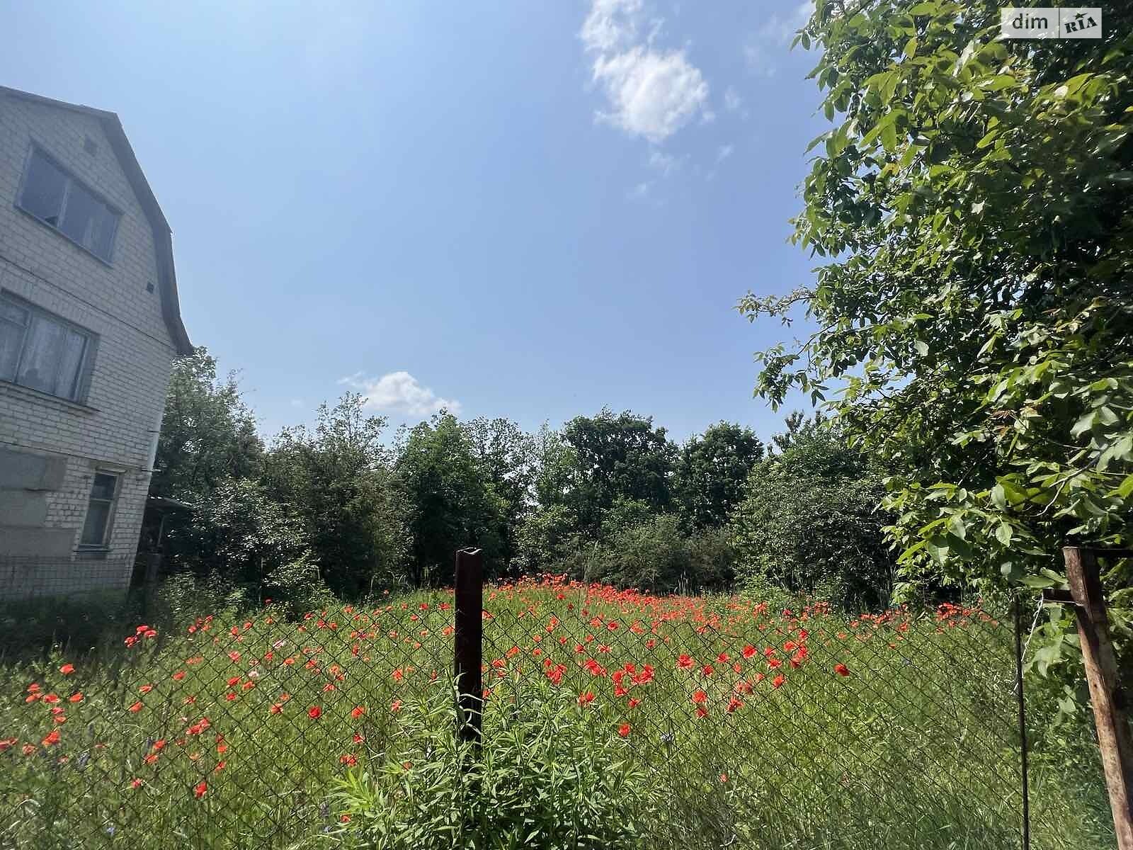 Земельна ділянка сільськогосподарського призначення в Новосілках, площа 6 соток фото 1 Земельна ділянка сільськогосподарського призначення в Новосілках, площа 6 соток фото 1