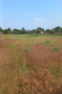 Земельный участок сельскохозяйственного назначения в Новоселках, площадь 8 соток фото 1 Земельный участок сельскохозяйственного назначения в Новоселках, площадь 8 соток фото 1