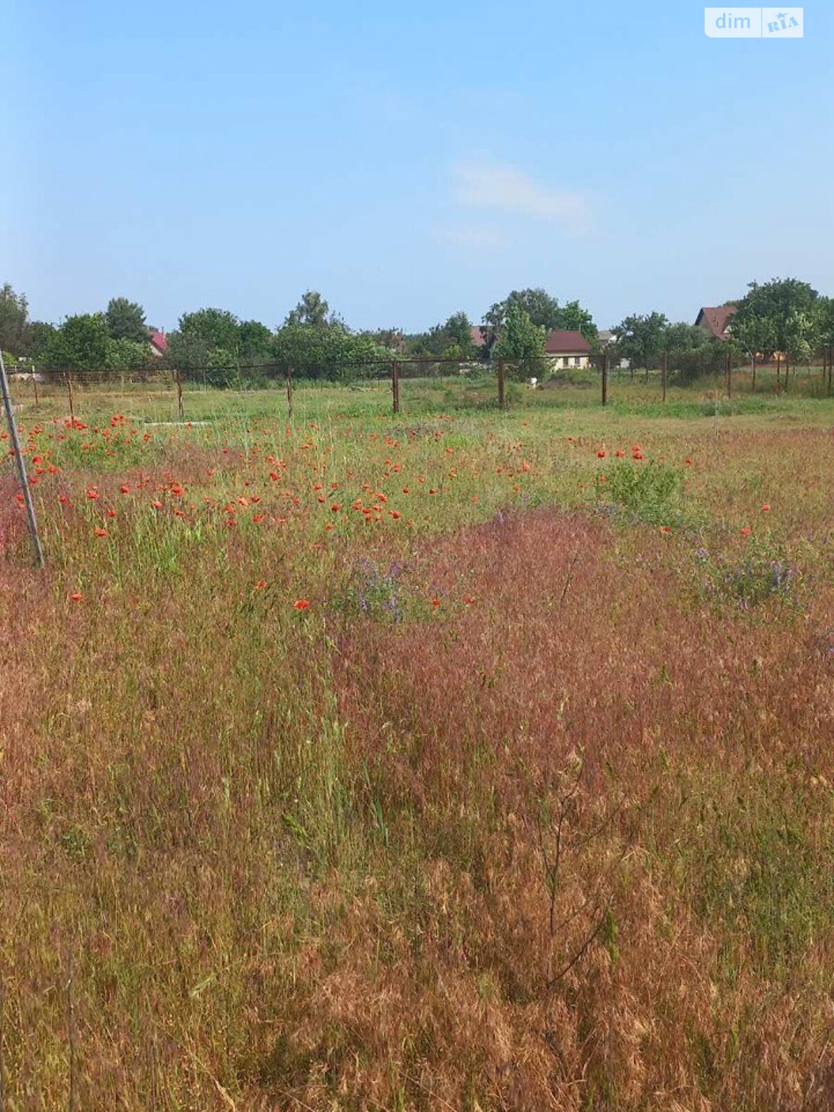 Земельный участок сельскохозяйственного назначения в Новоселках, площадь 8 соток фото 1 Земельный участок сельскохозяйственного назначения в Новоселках, площадь 8 соток фото 1