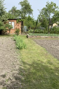 Земельна ділянка сільськогосподарського призначення в Новоукраїнці, площа 6 соток фото 2