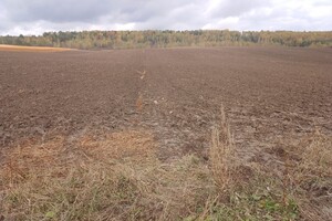 Земельный участок сельскохозяйственного назначения в Новояворовск, площадь 0.5355 сотки фото 2