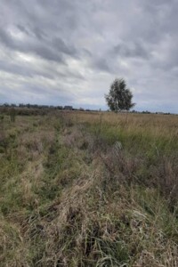 Земельный участок сельскохозяйственного назначения в Новых Петровцах, площадь 51 сотка фото 2