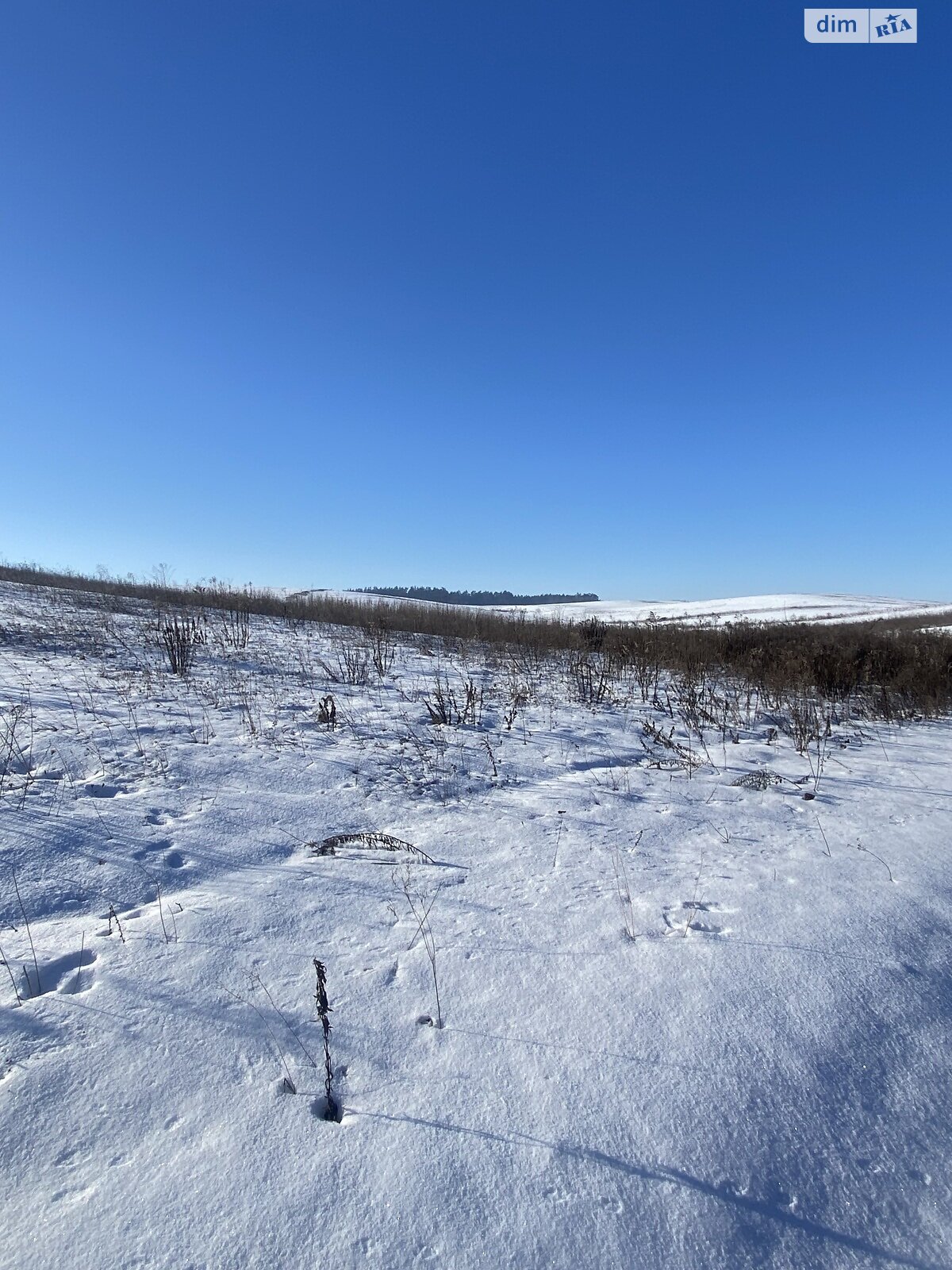 Земельный участок сельскохозяйственного назначения в Обарове, площадь 38.5 сотки фото 1