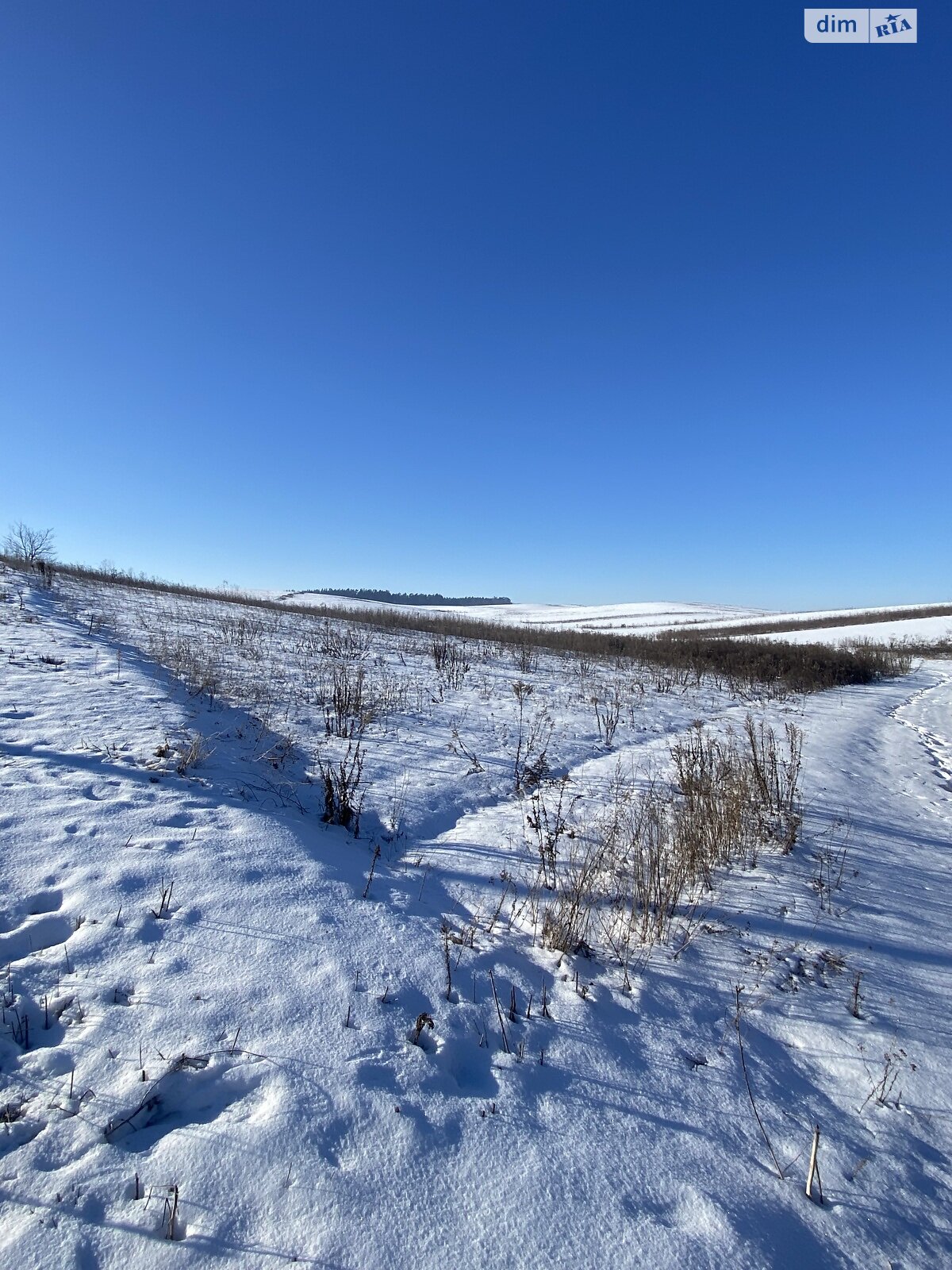 Земельный участок сельскохозяйственного назначения в Обарове, площадь 38.5 сотки фото 1