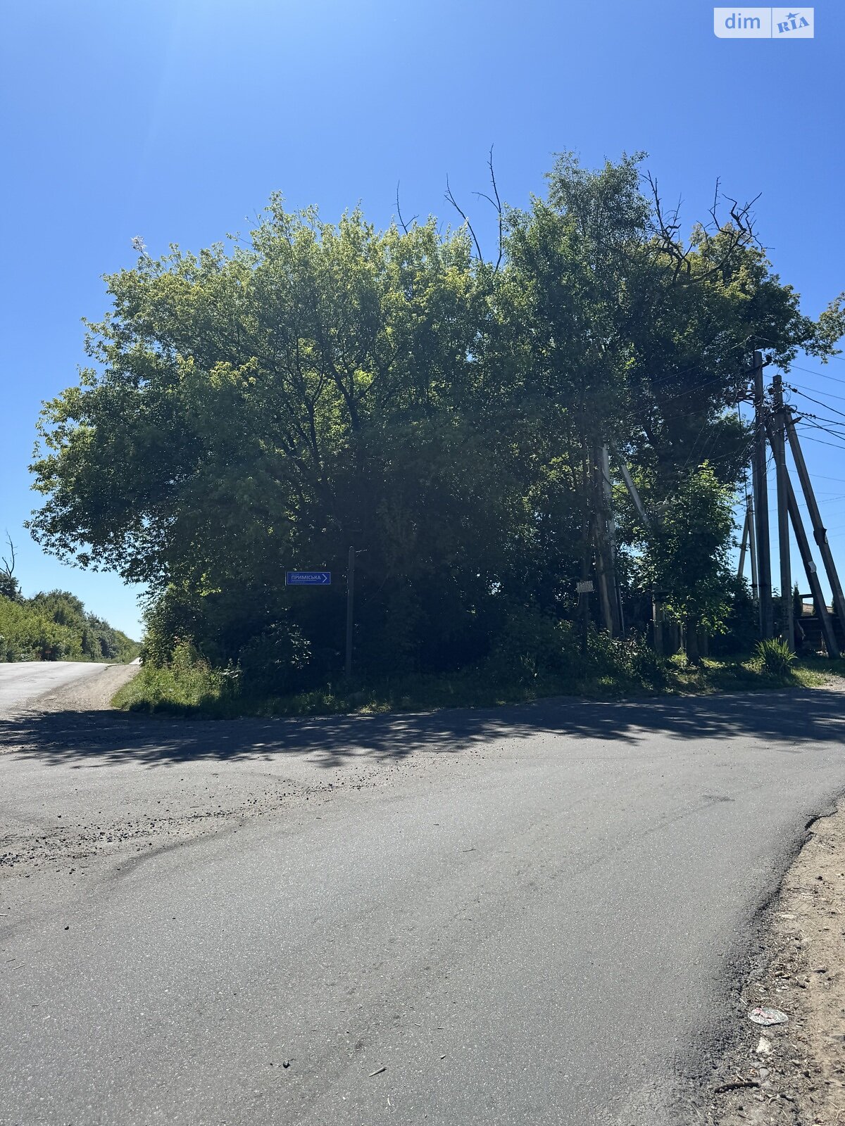 Земельна ділянка сільськогосподарського призначення в Обарові, площа 48.1 сотки фото 1 Земельна ділянка сільськогосподарського призначення в Обарові, площа 48.1 сотки фото 1