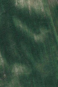 Земельный участок сельскохозяйственного назначения в Обарове, площадь 3.1684 Га фото 1